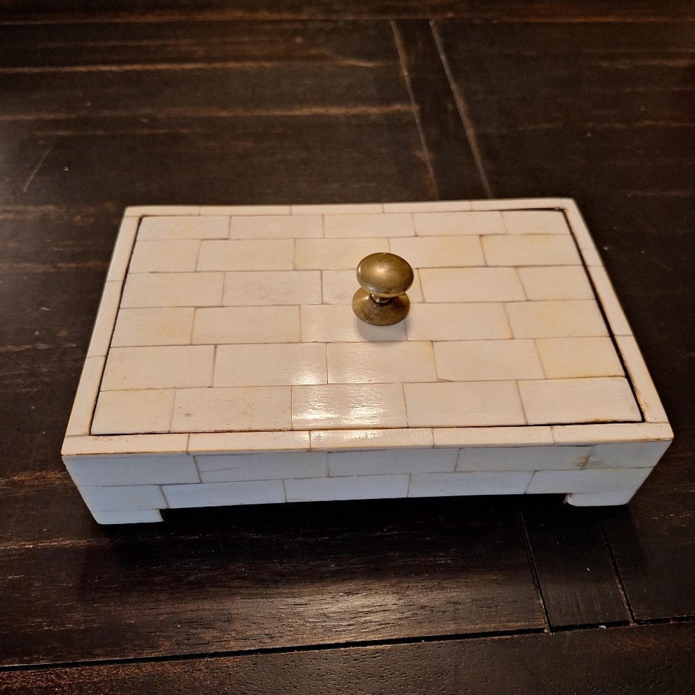 Bone and Brass Jewelry Box